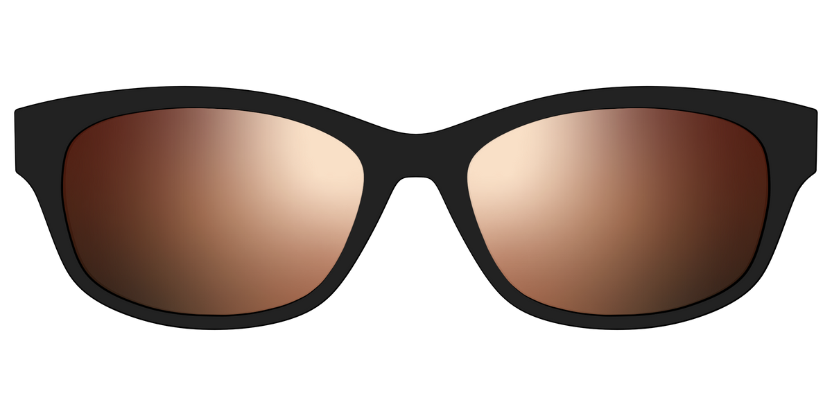 The Polarized Gold Reflective Sun Top