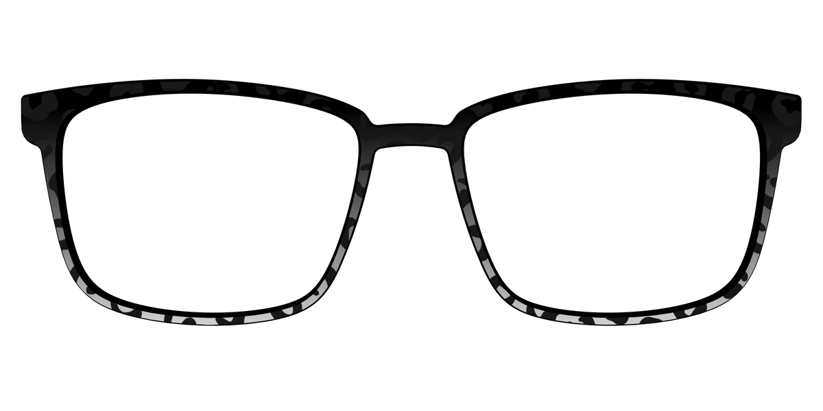 The Black Cheetah