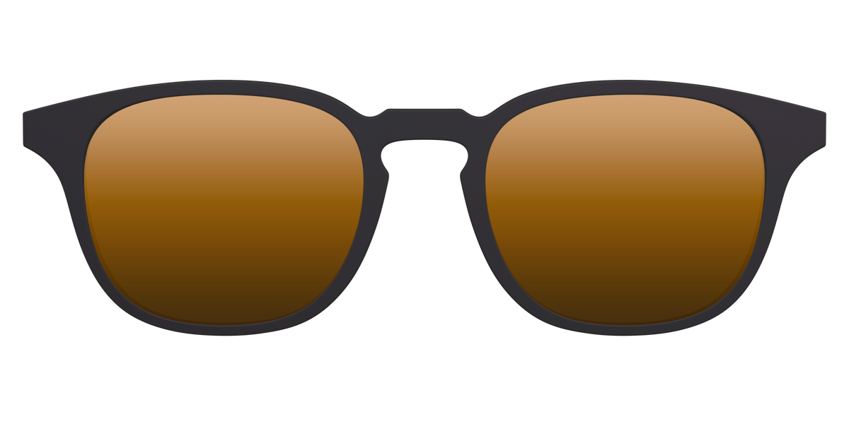 The Polarized Gold Reflective Sun Top