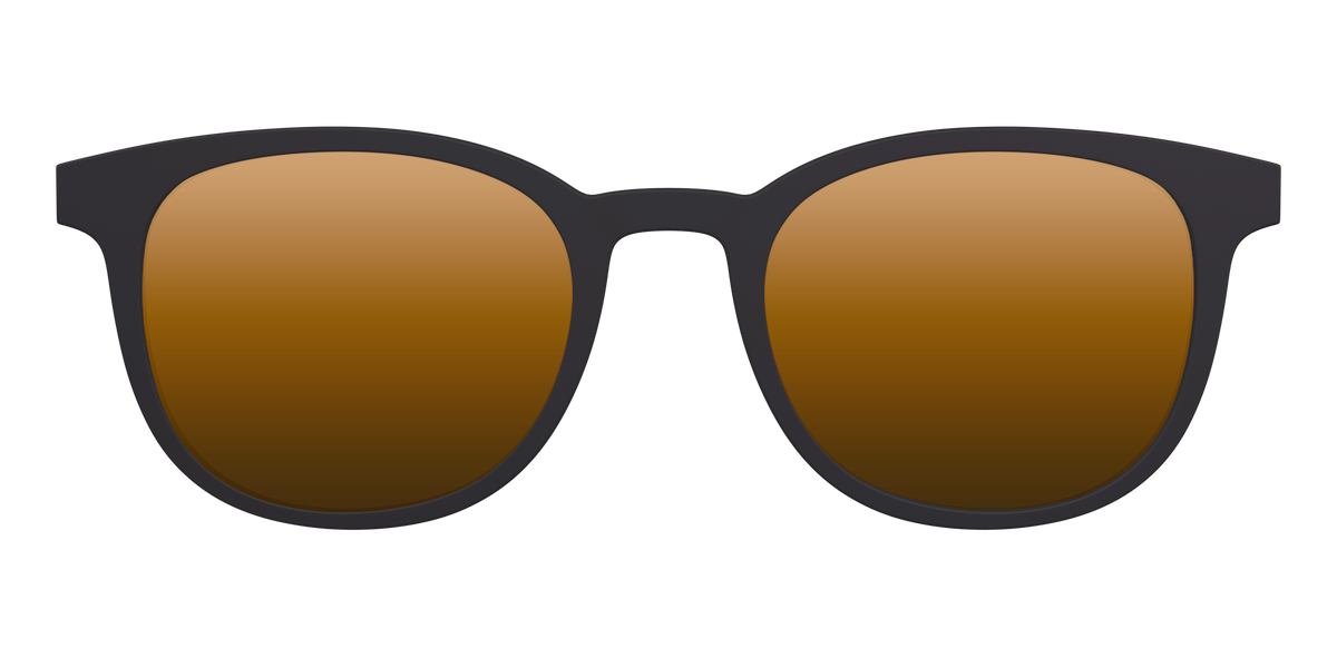The Polarized Gold Reflective Sun Top