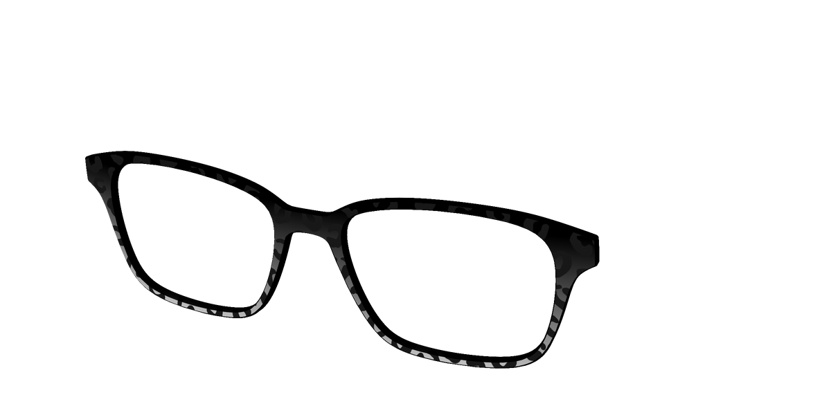 The Black Cheetah