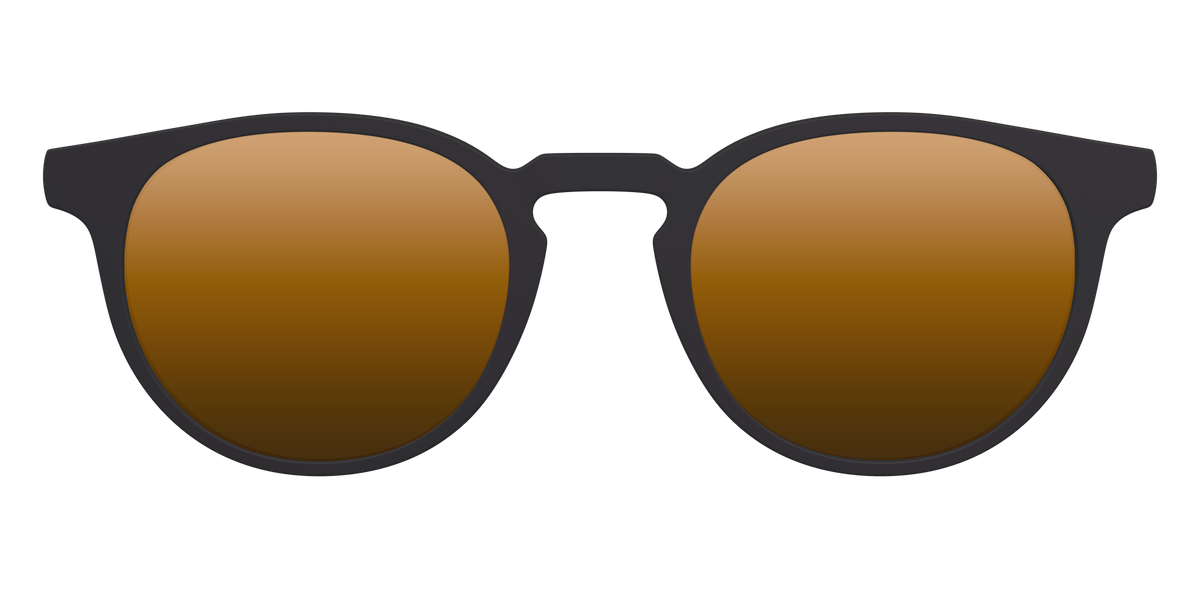 The Polarized Gold Reflective Sun Top