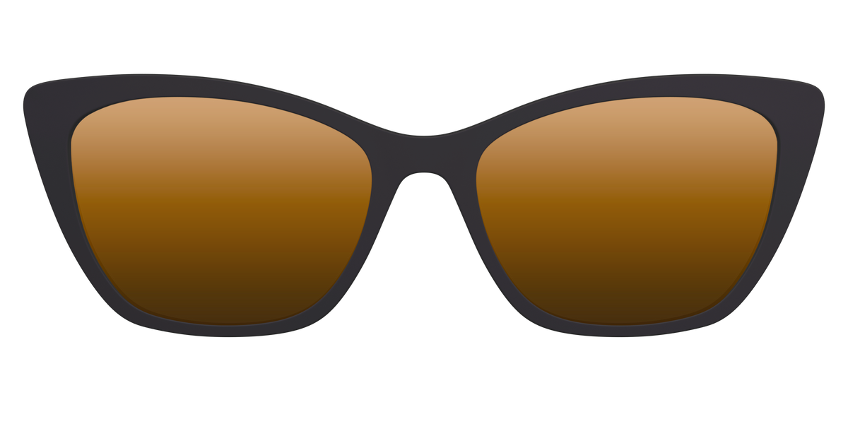 The Polarized Gold Reflective Sun Top